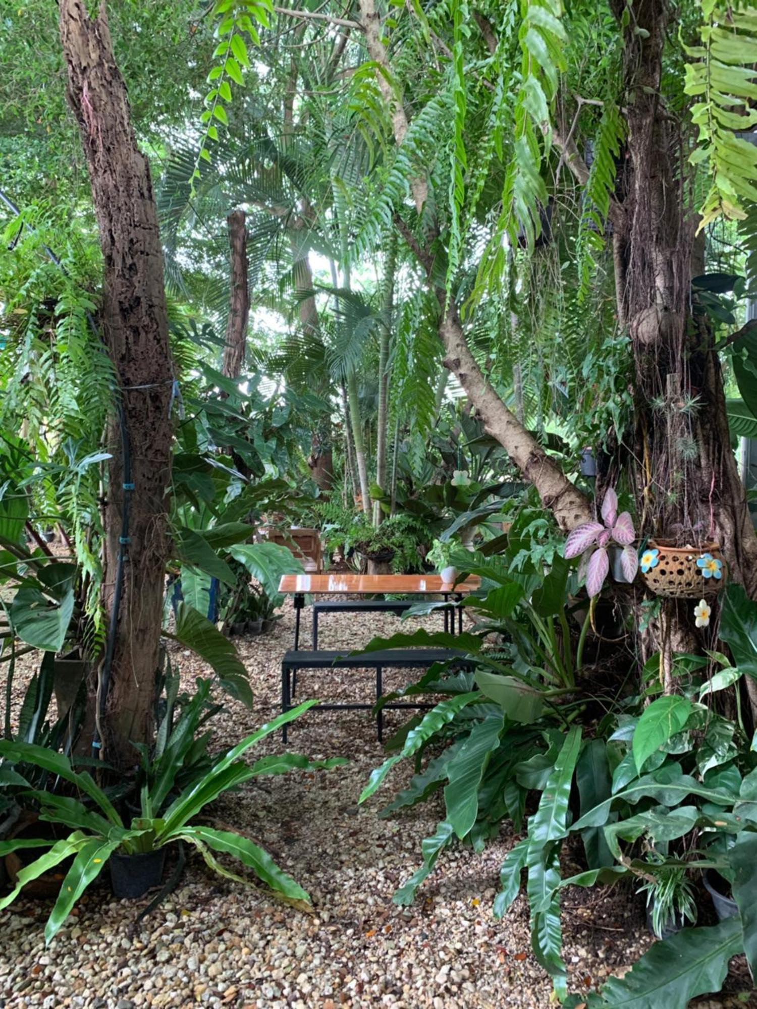 Baan Suan Duang Porn Resort Ban Phae  Kültér fotó