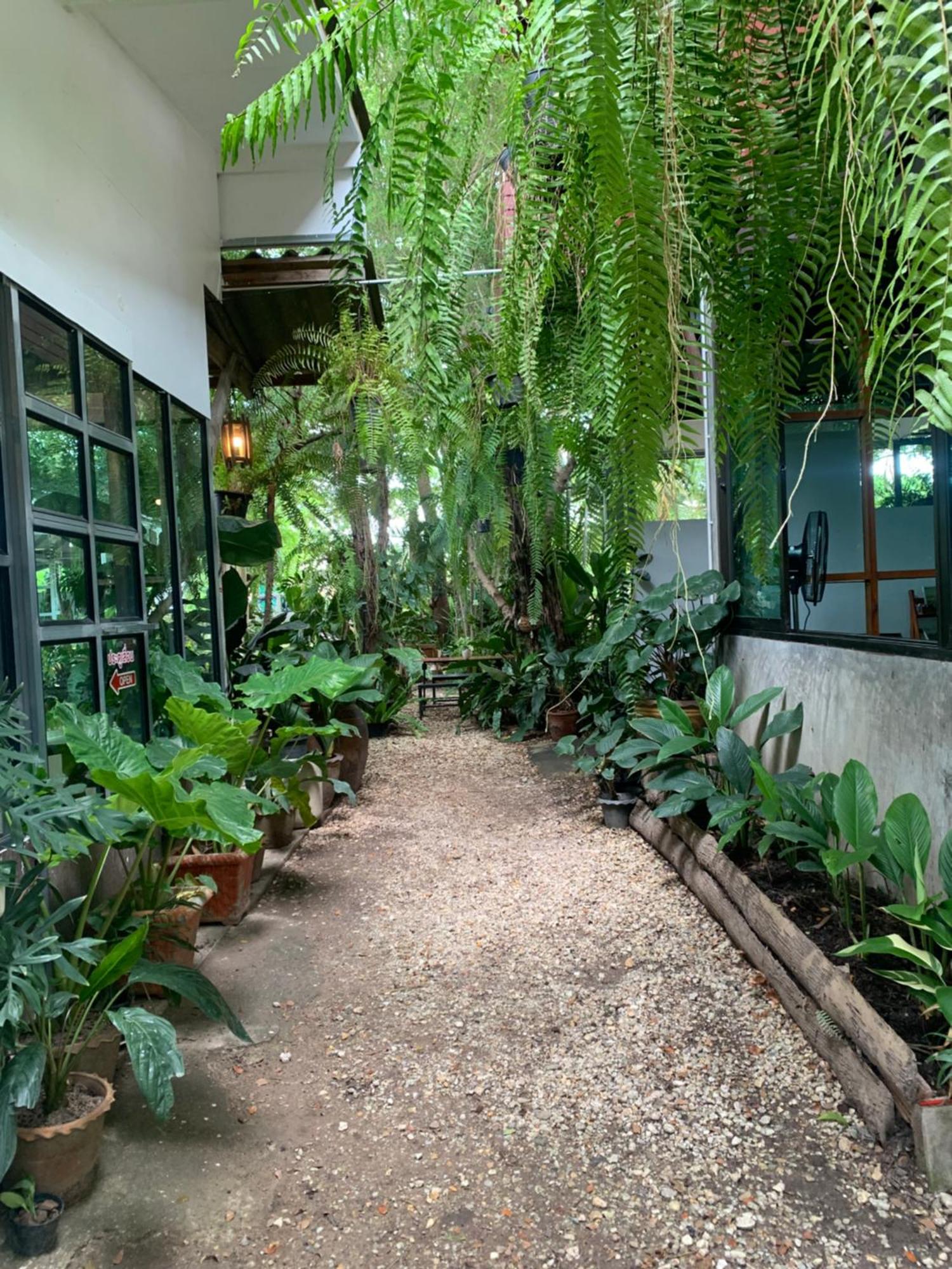 Baan Suan Duang Porn Resort Ban Phae  Kültér fotó